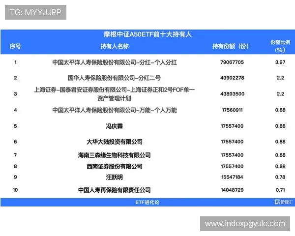 亚游PA首页平台安全性分析，保障玩家资金与个人信息的双重安全