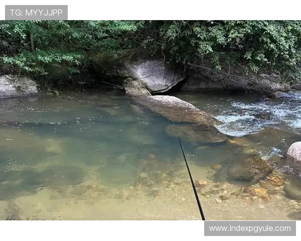 如何在ag捕鱼官方app中快速提升捕鱼技巧,成为高手的实用攻略 如何在ag捕鱼官方app中快速提升捕鱼技巧,成为高手的实用攻略