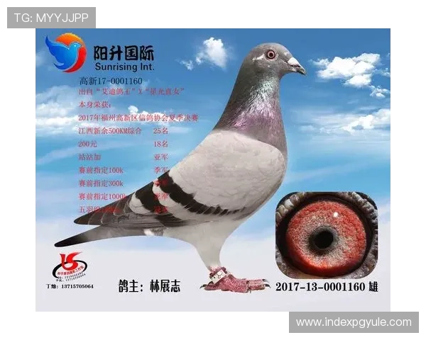 如何正确选择AG国际注册平台，确保账户安全和资金保障的实用技巧