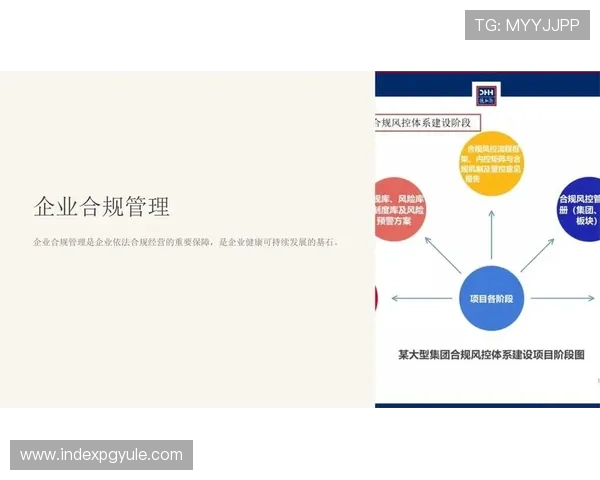 PA体育视讯的内容版权与合法性问题解析，确保用户观看的合法合规性