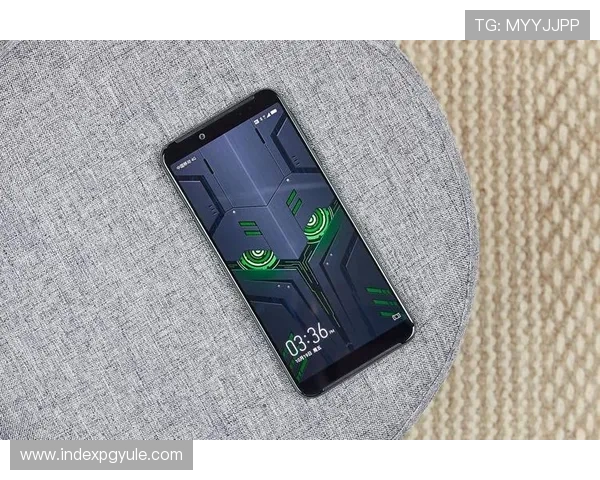 新手必看AG金龙珠会员登录流程详解帮助快速上手游戏体验