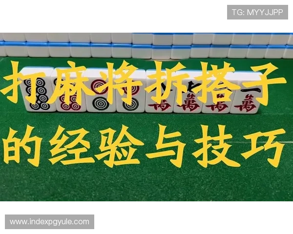 用户关心的db娱乐预测准确性提升技巧与实用建议