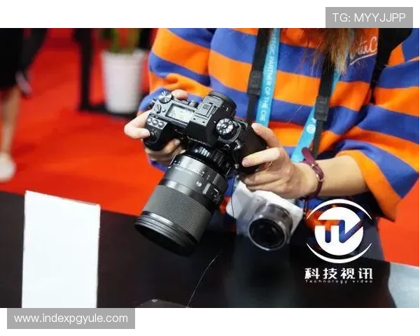 dg视讯官方网站最新安全登录入口全面解析保障玩家账号安全与隐私