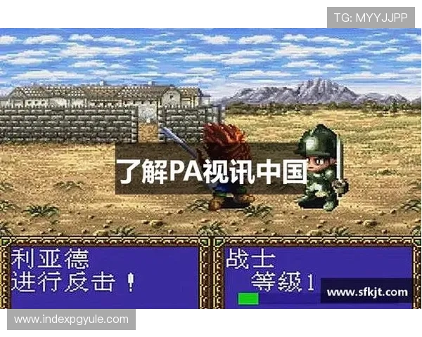 如何借助PA视讯大神的专业指导实现游戏技能全面提升的详细方法 如何借助PA视讯大神的专业指导实现游戏技能全面提升的详细方法