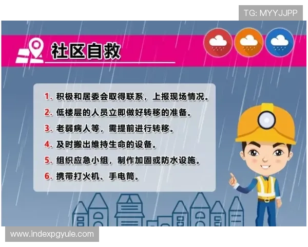 掌握百家玩法规则的实用指南让你在游戏中轻松应对各种复杂局面