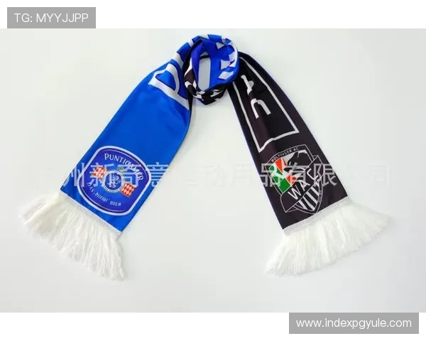 世界杯瑞士对阵波黑比赛中球迷围巾的流行款式与品牌推荐